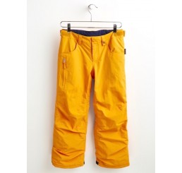 Burton Barnstorm